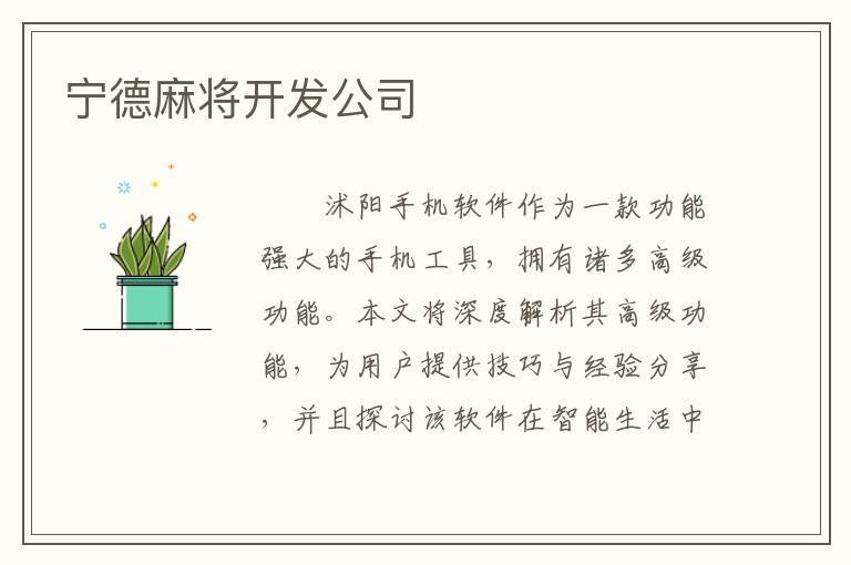 宁德麻将开发公司