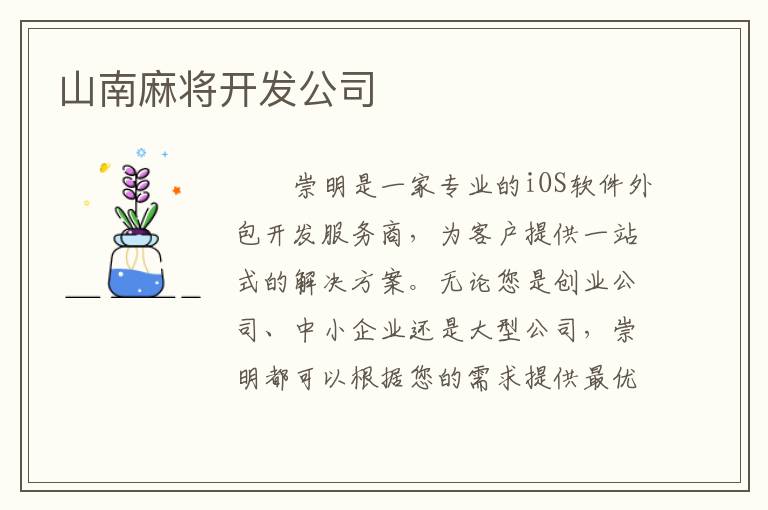 山南麻将开发公司