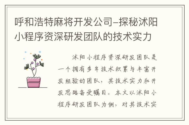 呼和浩特麻将开发公司-探秘沭阳小程序资深研发团队的技术实力和开发思路