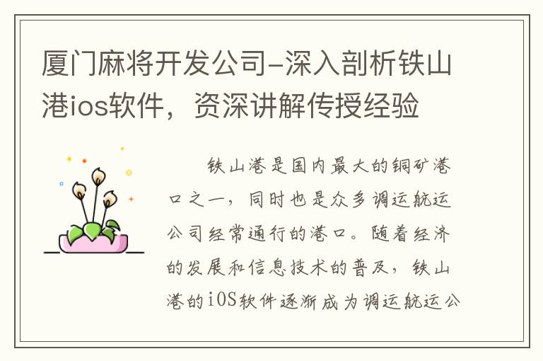 厦门麻将开发公司-深入剖析铁山港ios软件，资深讲解传授经验