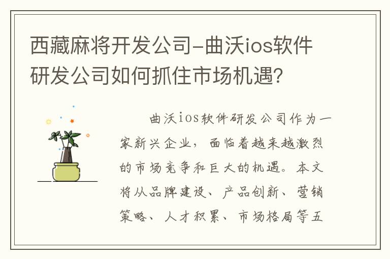 西藏麻将开发公司-曲沃ios软件研发公司如何抓住市场机遇？