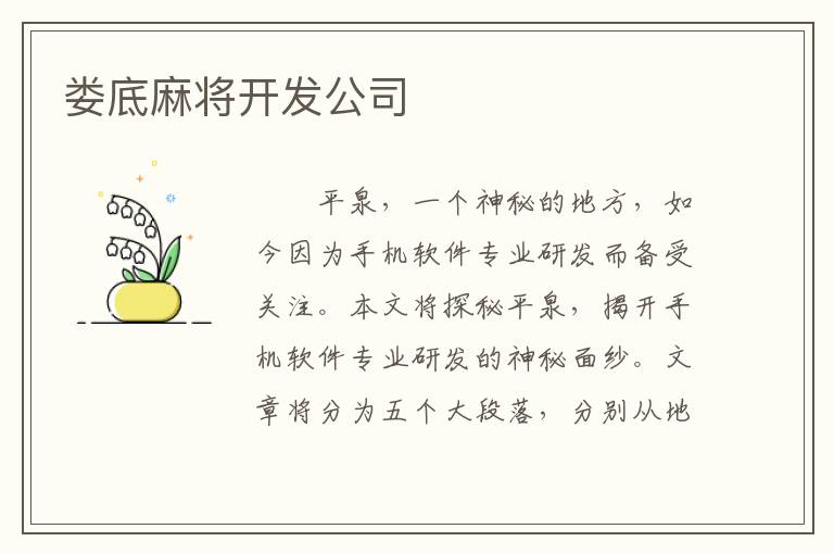 娄底麻将开发公司