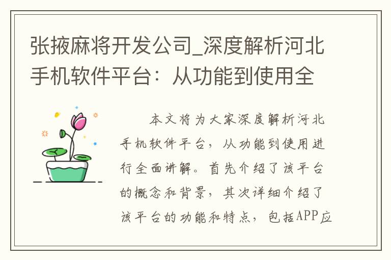 张掖麻将开发公司_深度解析河北手机软件平台：从功能到使用全面讲解