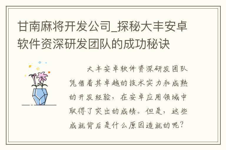 甘南麻将开发公司_探秘大丰安卓软件资深研发团队的成功秘诀